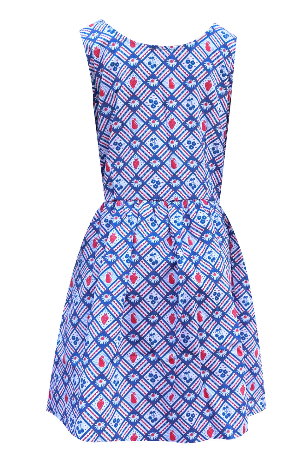 Picnic Fit & Flare Dress in Cherry & Blueberry
