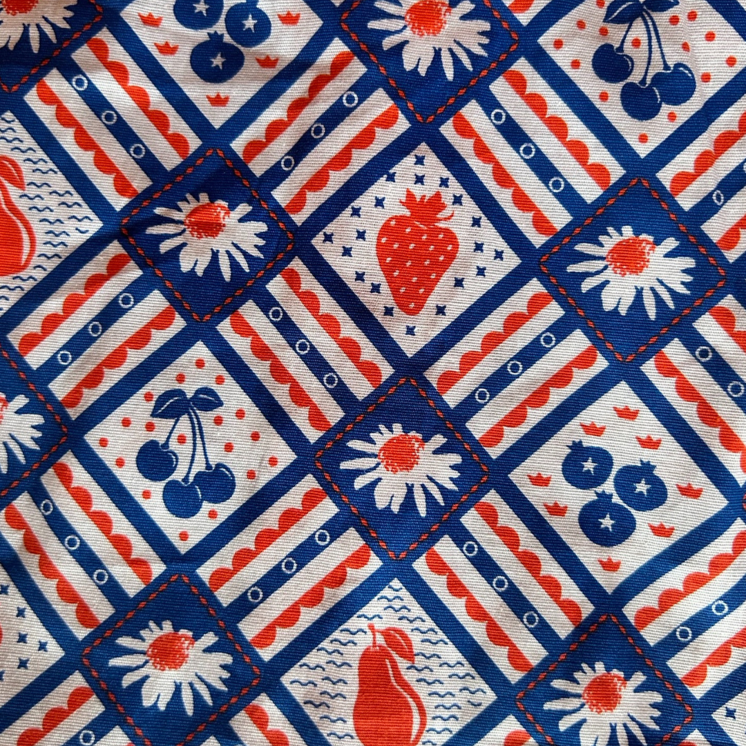 Picnic Fit & Flare Dress in Cherry & Blueberry