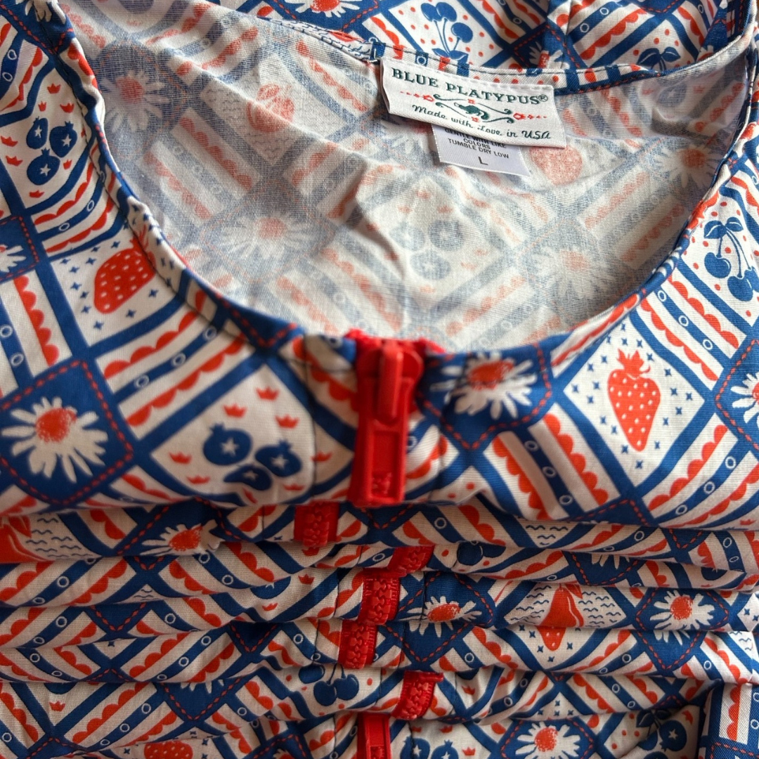 Picnic Fit & Flare Dress in Cherry & Blueberry